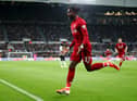Sam Allardyce believes Newcastle United should move for Divock Origi (Photo by Clive Brunskill/Getty Images)