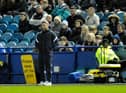 Lee Johnson on the touchline at Sheffield Wednesday.