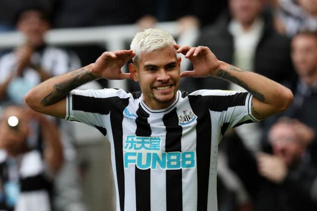 Bruno Guimaraes of Newcastle United celebrates after scoring their team's first goal during the Premier League match between Newcastle United and Brentford FC at St. James Park on October 08, 2022 in Newcastle upon Tyne, England. (Photo by Ian MacNicol/Getty Images)