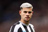 Newcastle United midfielder Bruno Guimaraes is back from suspension.