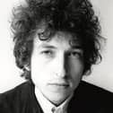 Dylan under the microscope