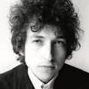 Dylan under the microscope