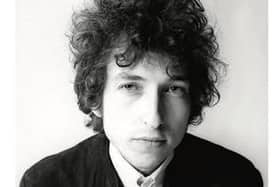 Dylan under the microscope
