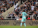 A Newcastle fan in a wheelchair waves a flag during the Pre Season friendly match between Newcastle United and Atalanta (Photo by Stu Forster/Getty Images)