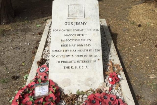 There isn't one person in Peterborough who hasn't heard of Jimmy the donkey whose grave is in Central Park. Jimmy helped allied troops in the trenches during the First World War.