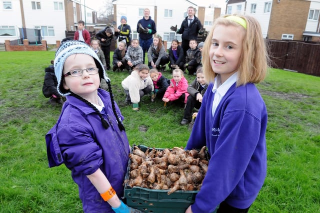 Ridgeway Primary School pupils Michael Rising and Maya Krawczyk helped to plant daffodil bulbs across Harton Moor Estate in 2014.
