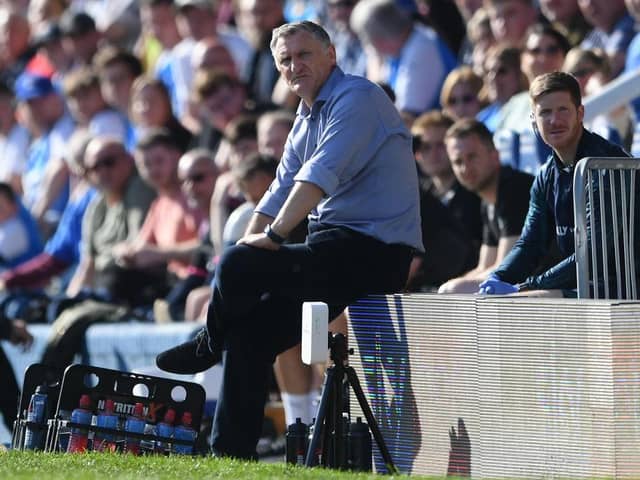 Tony Mowbray will be appointed the new head coach at Sunderland AFC