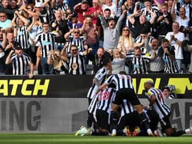 ‘Data experts’ forecast extremely tight match between Newcastle United and Wolves (Photo by Stu Forster/Getty Images)