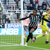Joe Willock of Newcastle United celebrates after scoring his team's first goal during the Premier League match between Newcastle United and Sheffield United at St. James Park on May 19, 2021 in Newcastle upon Tyne, England.
