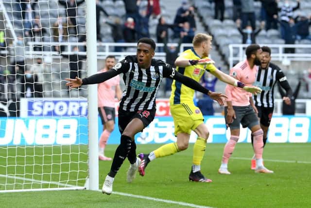 Joe Willock of Newcastle United celebrates after scoring his team's first goal during the Premier League match between Newcastle United and Sheffield United at St. James Park on May 19, 2021 in Newcastle upon Tyne, England.