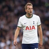 Louis Saha doesn't believe Harry Kane should move to Newcastle United this summer. (Photo by Julian Finney/Getty Images)