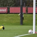 The 16-year-old stopper, who signed a two-year scholarship deal with Sunderland this summer, has been included in Tony Mowbray's 26-man squad.