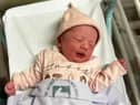 Layla at only a few hours old