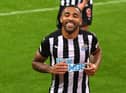 NEWCASTLE UPON TYNE, ENGLAND - OCTOBER 03: Callum Wilson of Newcastle United celebrates after scoring his team's third goal during the Premier League match between Newcastle United and Burnley at St. James Park on October 03, 2020 in Newcastle upon Tyne, England.
