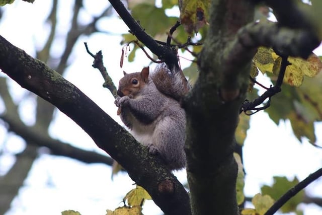 Taking a snack break in Marine Park - and caught on camera, no less.