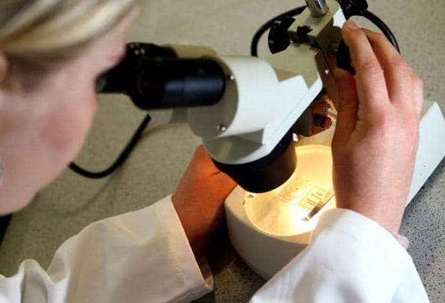 Cancer survival rates rise in South Tyneside.