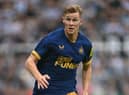 Newcastle United defender Emil Krafth is out with a long-term knee injury.