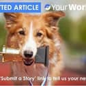 User (UGC) Submitted