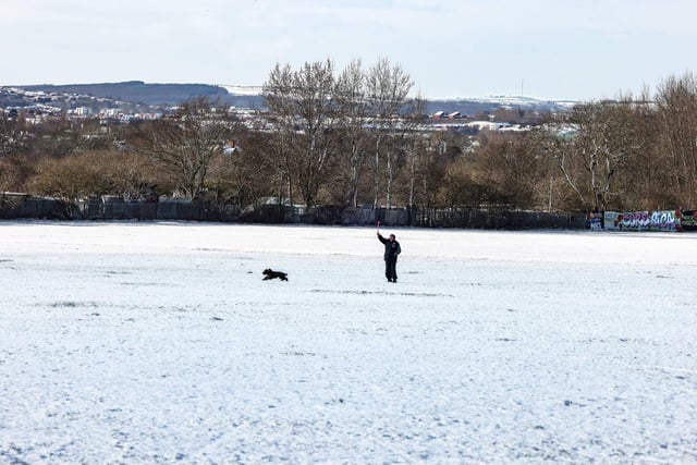 Back to the north of the Tyne, the quiet parks and fiends made for some stunning photos.