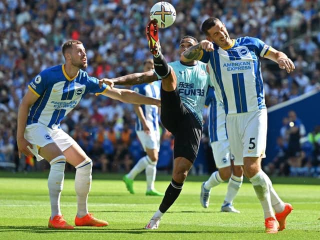 Newcastle United's English striker Callum Wilson (C) vies with Brighton's English defender Adam Webster (L) and Brighton's English defender Lewis Dunk (R) during the English Premier League football match between Brighton and Hove Albion and Newcastle United at the American Express Community Stadium in Brighton, southern England on August 13, 2022.Photo by GLYN KIRK/AFP via Getty Images)