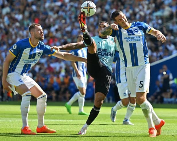 Newcastle United's English striker Callum Wilson (C) vies with Brighton's English defender Adam Webster (L) and Brighton's English defender Lewis Dunk (R) during the English Premier League football match between Brighton and Hove Albion and Newcastle United at the American Express Community Stadium in Brighton, southern England on August 13, 2022.Photo by GLYN KIRK/AFP via Getty Images)
