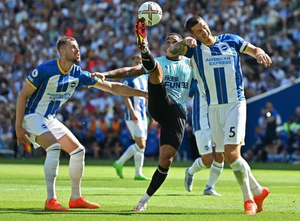 Newcastle United's English striker Callum Wilson (C) vies with Brighton's English defender Adam Webster (L) and Brighton's English defender Lewis Dunk (R) during the English Premier League football match between Brighton and Hove Albion and Newcastle United at the American Express Community Stadium in Brighton, southern England on August 13, 2022.Photo by GLYN KIRK/AFP via Getty Images)