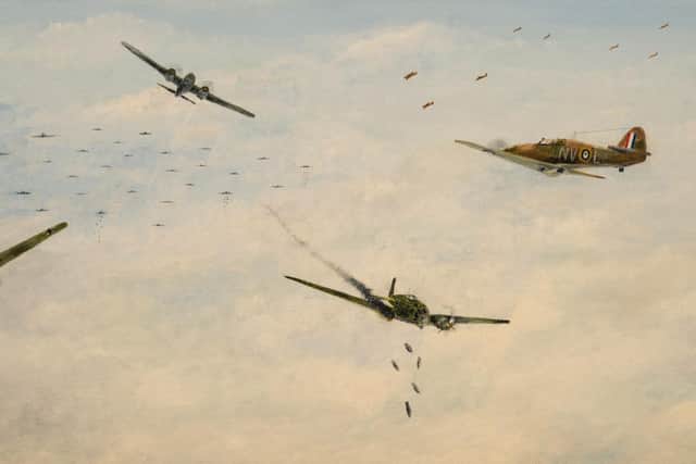 An air battle over the Farne Islands.
