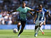 Newcastle United's Brazilian midfielder Bruno Guimaraes (L) vies with Brighton's Ecuadorian midfielder Moises Caicedo (R) during the English Premier League football match between Brighton and Hove Albion and Newcastle United at the American Express Community Stadium in Brighton, southern England on August 13, 2022. (Photo by GLYN KIRK/AFP via Getty Images)