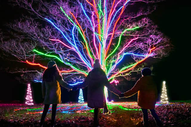 Neon tree by Culture Creative mychristmastrails 2020 photo by Richard Haughton