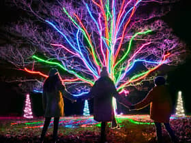 Neon tree by Culture Creative mychristmastrails 2020 photo by Richard Haughton