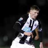 Elliot Anderson has been called up to represent Scotland Under-21's (Photo by George Wood/Getty Images)