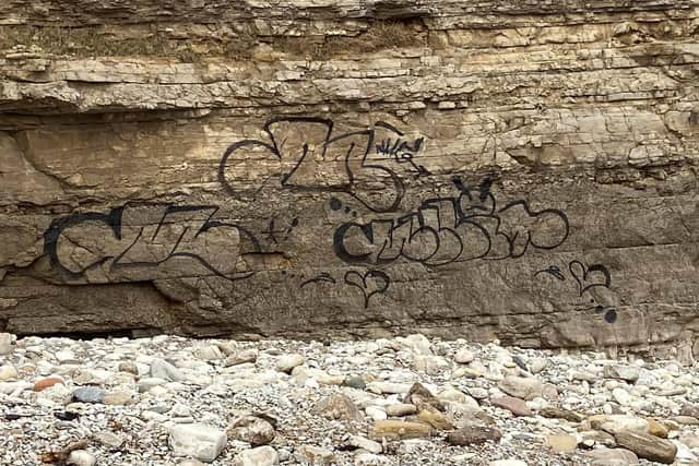 Vandals have sprayed graffiti onto the side of a cliff face at The Wherry in Whitburn. Photo by John Short.
