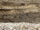 Vandals have sprayed graffiti onto the side of a cliff face at The Wherry in Whitburn. Photo by John Short.