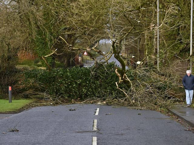Storm Eowyn battered the North East in January. Photo: Oliver McVeigh/PA Wire