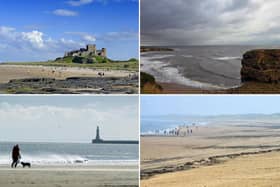 Who's keen for a trip to the seaside?