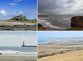 Who's keen for a trip to the seaside?