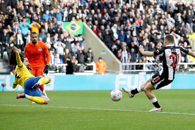 Ryan Fraser of Newcastle United scores their team's first goal during the Premier League match between Newcastle United and Brighton & Hove Albion at St. James Park on March 05, 2022 in Newcastle upon Tyne, England. (Photo by Ian MacNicol/Getty Images)