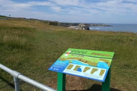 Visitors can find the new panel next to the England Coast Path on The Leas, just north of Souter Lighthouse.