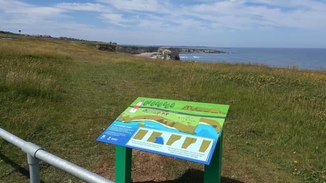 Visitors can find the new panel next to the England Coast Path on The Leas, just north of Souter Lighthouse.