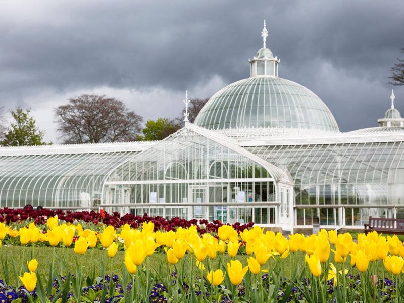 No trip to the West End of Glasgow is complete without a visit to Glasgow's Botanic Gardens to wander around the Kibble Palace. This enormous glass house was originally built for wealthy engineer John Kibble at his home on Loch Long in the 1860s, before being transported to the Botanics in 1873 and fully restored in 2004. It contains tropical plants, statues and a fish pond, and is much-loved by Glaswegians.