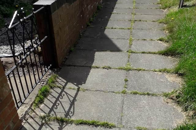 Weeds on Croftside Avenue, Whitburn.