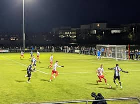 NUFC v SAFC under-23s, Whitley Park.