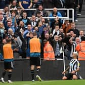 Bruno Guimaraes of Newcastle United celebrates after scoring their team's first goal during the Premier League match between Newcastle United and Brentford FC at St. James Park on October 08, 2022 in Newcastle upon Tyne, England. (Photo by Stu Forster/Getty Images)