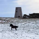 An icy cold but drier day is forecast for the borough, leading into a chilly start for the coming week