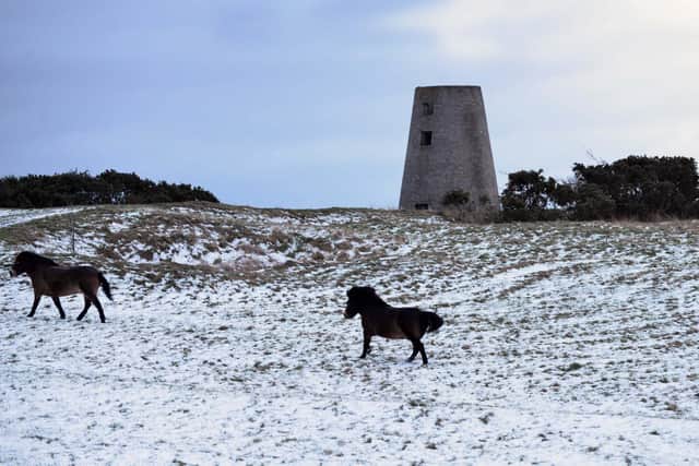 An icy cold but drier day is forecast for the borough, leading into a chilly start for the coming week