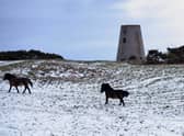 An icy cold but drier day is forecast for the borough, leading into a chilly start for the coming week