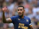 Newcastle United captain Jamaal Lascelles (Photo by Stu Forster/Getty Images)
