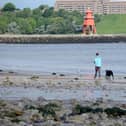 South Tyneside will be part of a series of nature-based projects to help tackle flooding.
