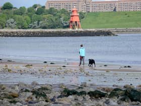 South Tyneside will be part of a series of nature-based projects to help tackle flooding.