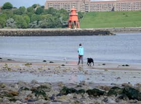 South Tyneside will be part of a series of nature-based projects to help tackle flooding.